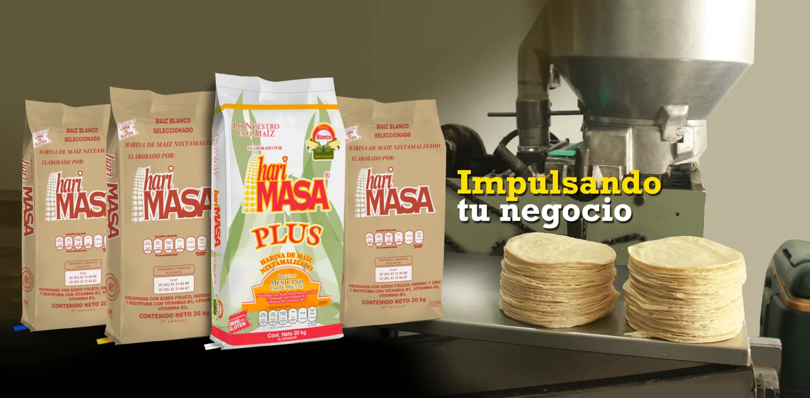 Masa Harina de Maíz para tortillerías